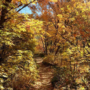 Meet your Posher, Isabel